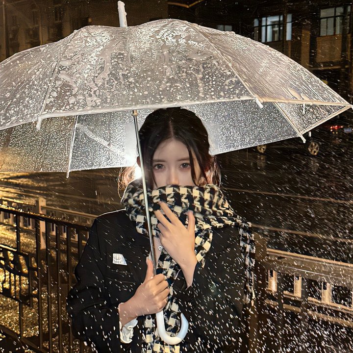 基督山之子
